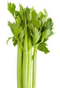 Negative Calorie Foods