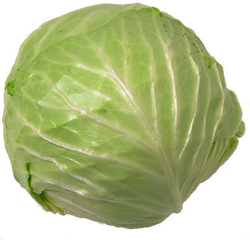 cabbage-soup-diet