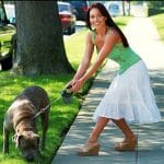 Amanda_Carrier_With_Her_Dog