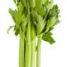Negative Calorie Foods